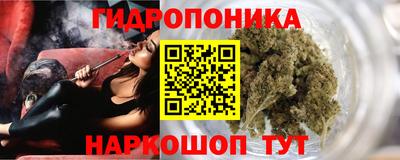МДПВ Дубна