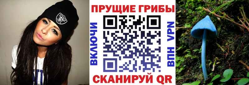 купить наркоту Омск Псилоцибиновые грибы Psilocybe