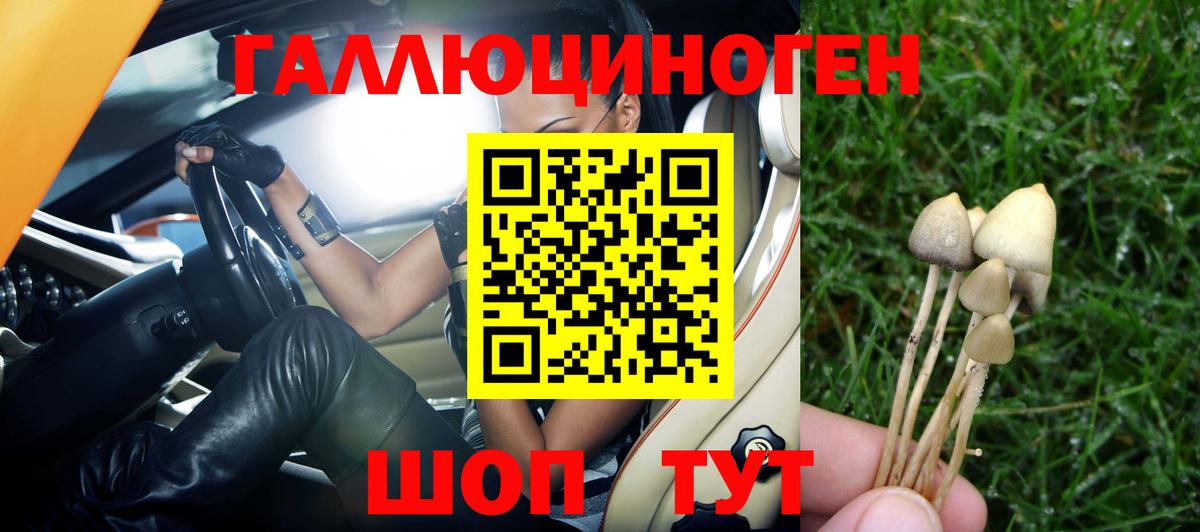 Псилоцибиновые грибы MAGIC MUSHROOMS Омск