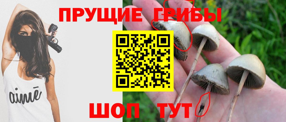 Псилоцибиновые грибы GOLDEN TEACHER  Вход с VPN  Омск 