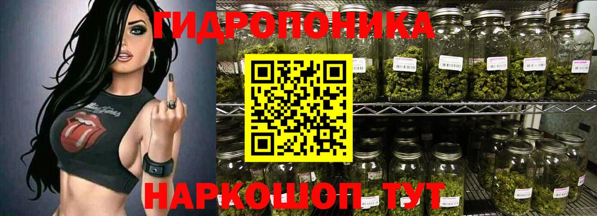 Бошки Шишки тримм Омск